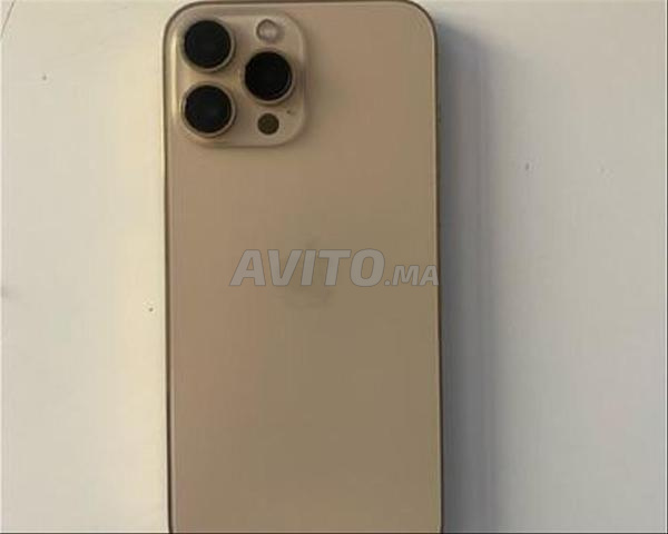  iPhone 13 Pro Max 1000 Go-Or-
