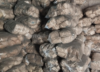 فاخر  الليمون