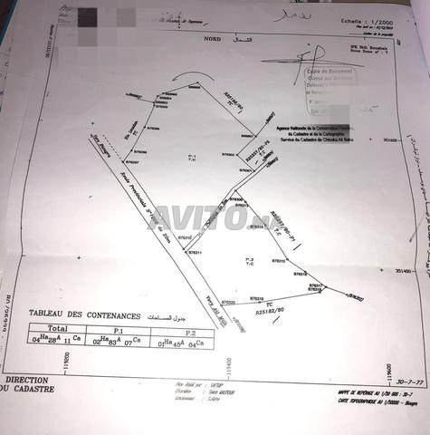 Terrain à vendre 1 Hectare à Ait Milk