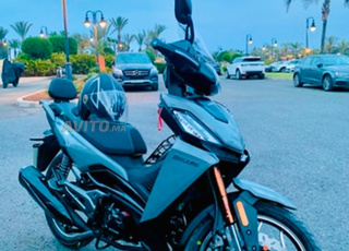 BECANE SPRING MOUDEL 2025 