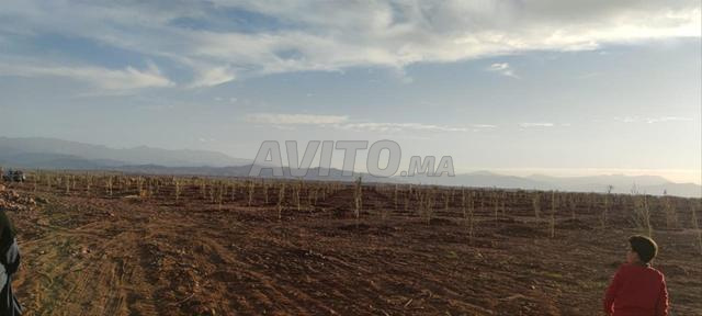 Terrain A Vendre A Marrakech - 2