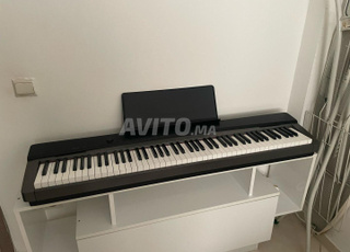 piano professionel  Casio 