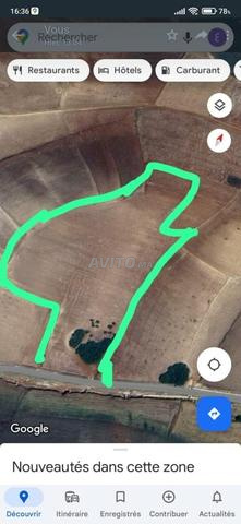Terrain agricole à vendre à 17 km de Tiflet