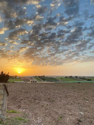 مزرعة وأرض فلاحية للبيع - 2