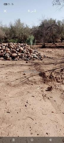 أرض للبيع المساحة 800متر طريق جمعة أغمات 