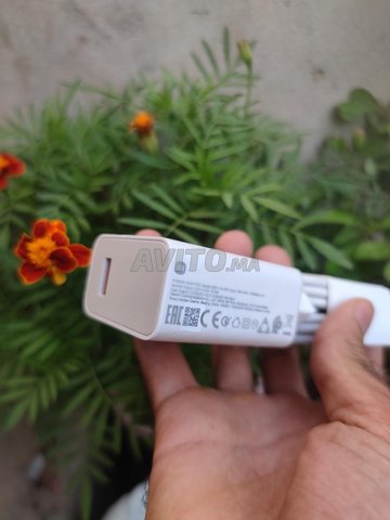 chargeur Xiaomi Original 67W 