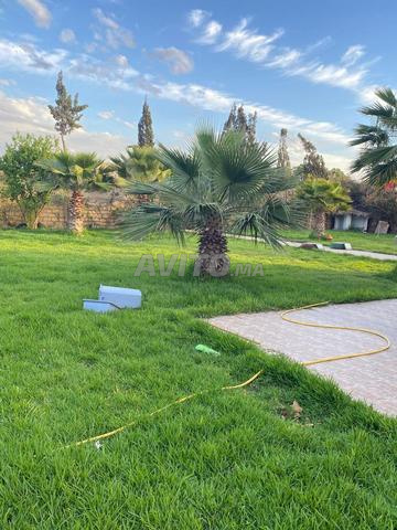استثمار مضمون بدون مخاطر لا يجب تفويته - 2