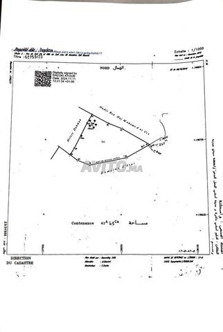 Terrain de 4 hectares titré à vendre  - 2