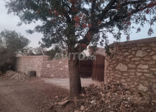 A vendre terrain titré avec maison 