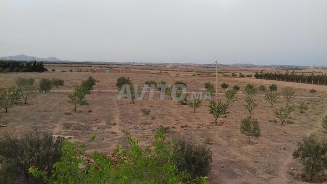 Terrain agricole 12500 m² à Sidi Moussa - 2