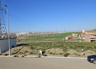 للبيع أرض محفظة بتجزئة الياقوت العوامة.