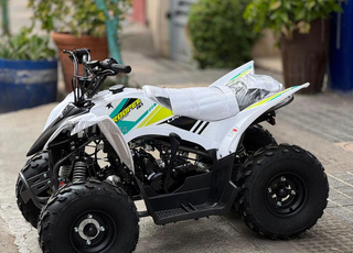 QUAD TROOPER 110R