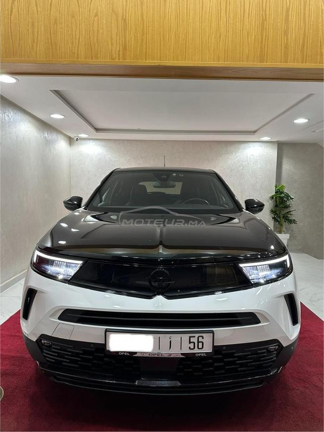 Mokka 2022