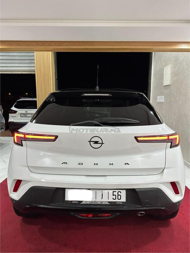 Mokka 2022