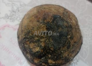 حجر  نيزك بمتياز