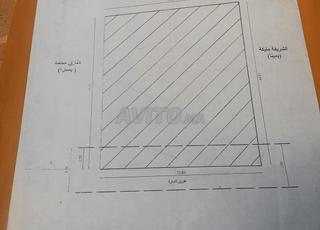 حي العيون زنقة بيروت رقم دار