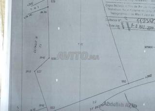 أرض للبيع داربوعزة 