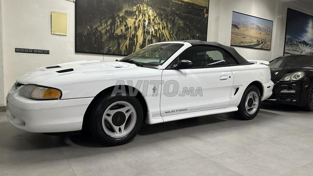 FORD MUSTANG COLLECTION