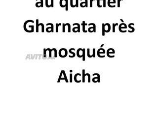 Terrain 355m2 quartier Gharnata près mosquée Aicha