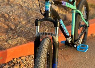 bianchi mountain bike 