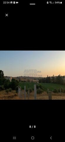 فيرما امليحة للسكن والخدمة تيتر أو كلشي بالبلان - 2