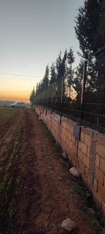 panneaux rigid complète fourniture et poze - 2