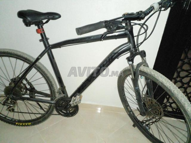 velo Olympia almaniya 