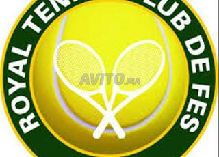 F/H assistante accueil adm informatique 