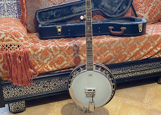 banjo fender