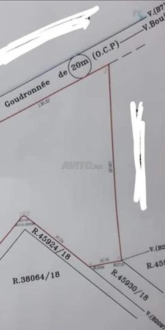 خمسة الخدامة على الطريق الرابطة بين حطان وبوجنيبة  - 2