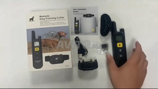 طوق كهربائي للكلاب