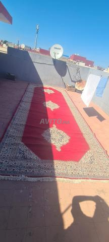 zarbiya ba9a n9iya Taman zwen - 2