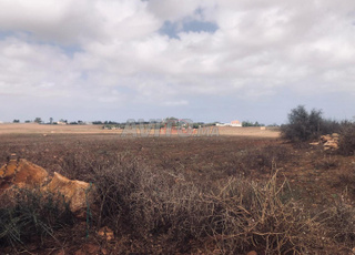 Vente Terrain agricole de 10010 m2 à Had Soualem