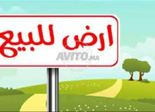 ارض محفظة للبيع بوسافو 