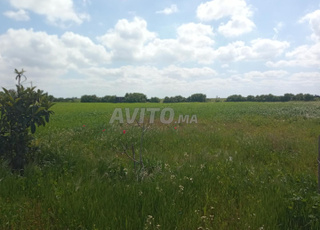 terrain titré de 2800 m²