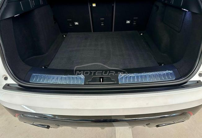 velar
