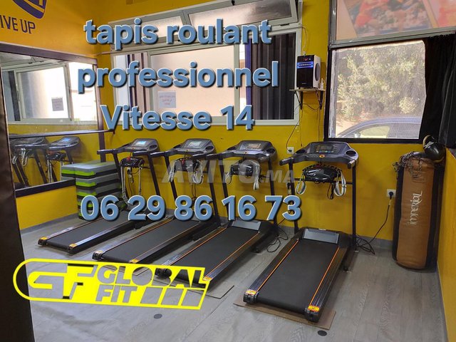 tapis roulant professionnel Vitesse 14