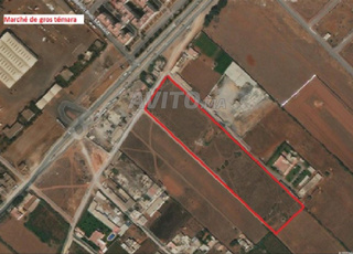 Terrain à vendre zone industrielle de temara 