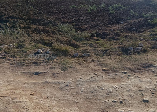 أرض للبيع بجماعة أولاد رحمون 