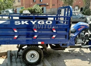 Triporteur skygo