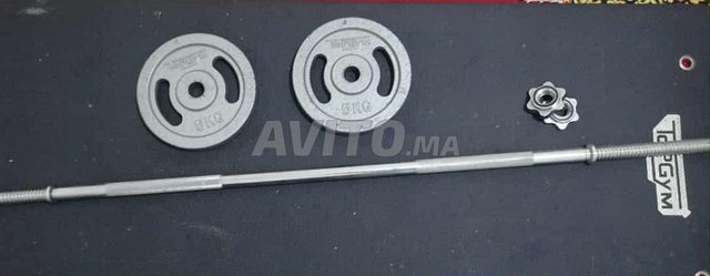 Barre de musculation avec 2 poids en fer de 5 Kg 