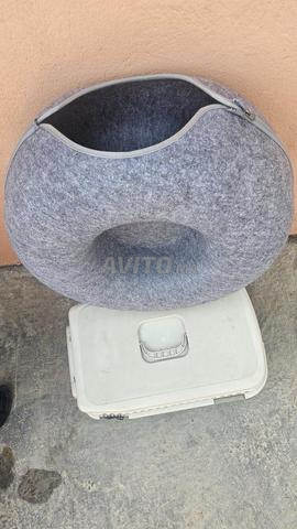 Cage à chat avec roue pour dormir et jouer