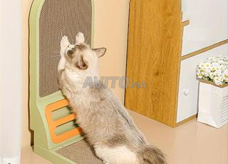 Griffoir pour chats