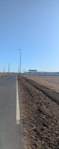 Terrain agricole Titré Foncié de 9 hectares