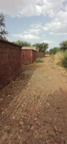 Terrain à vendre près de village aghmat  - 2