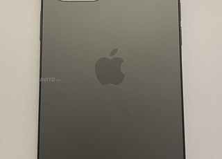 Iphone 12 Pro Max Gris