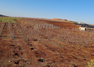 Ferme à vendre (titre) 4,6 hectares
