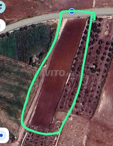 Terrain titré 2 000 m² à 1h Casa/El Jadida