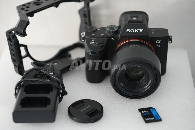 Sony A7 III avec 50 mm f1,8 FE - 2
