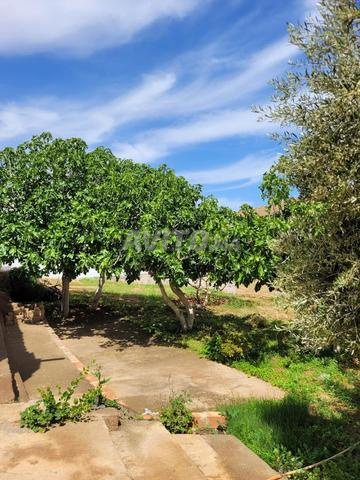 Très belle ferme de 10000 m2 titrée. Arborée. Fleurie